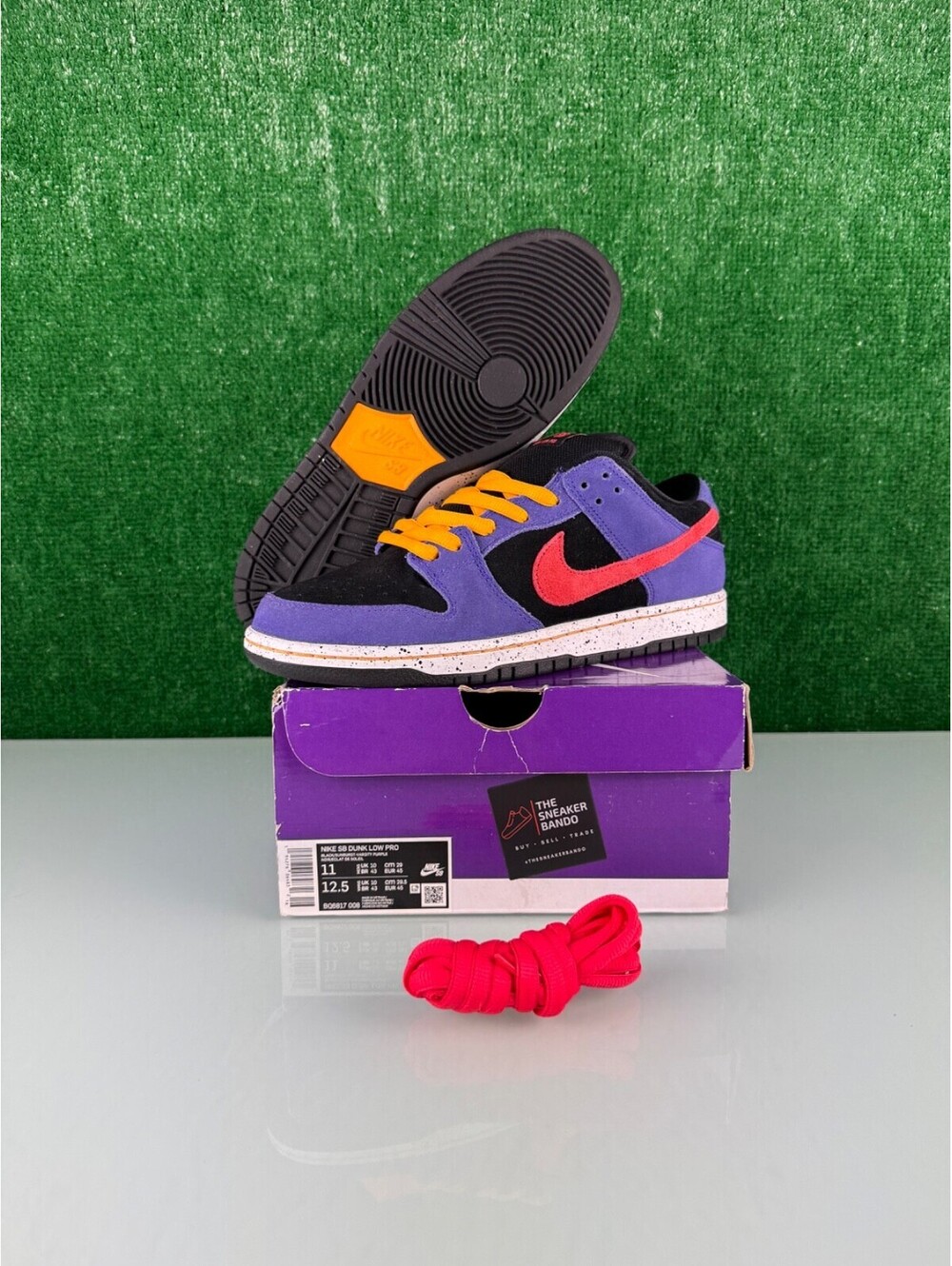 Size 11 - Nike Dunk Pro SB Low ACG Terra
